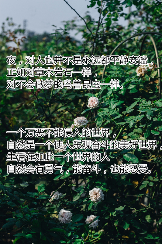 纪念林语堂诞辰124周年:他曾两次获诺贝尔文学奖提名