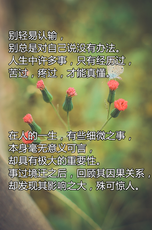纪念林语堂诞辰124周年:他曾两次获诺贝尔文学奖提名