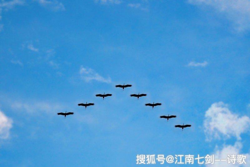 杨炼才是最值得获得诺贝尔文学奖的中国诗人