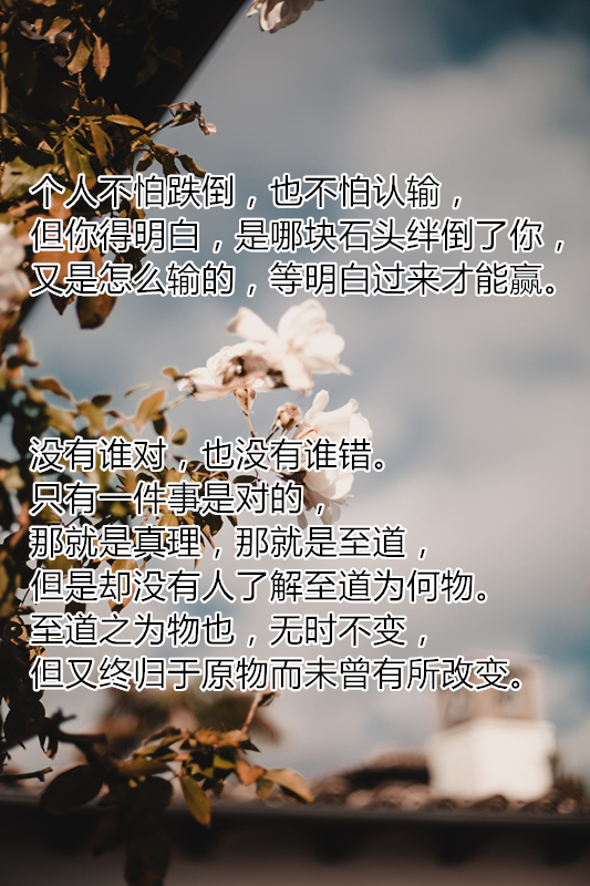 纪念林语堂诞辰124周年:他曾两次获诺贝尔文学奖提名