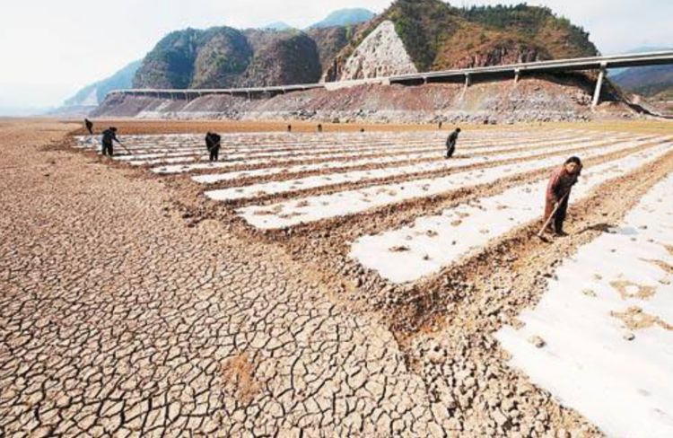 俄罗斯用免费给15亩土地为诱饵,吸引中国人移民,只有一简单要求