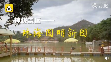 这景区是不是缺心眼?