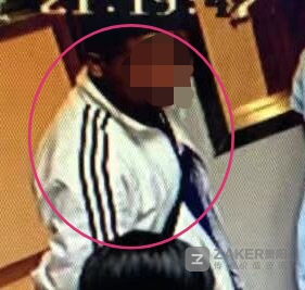 边牧不栓绳将泰迪肺部咬一个洞 送医后边牧主人一去不返