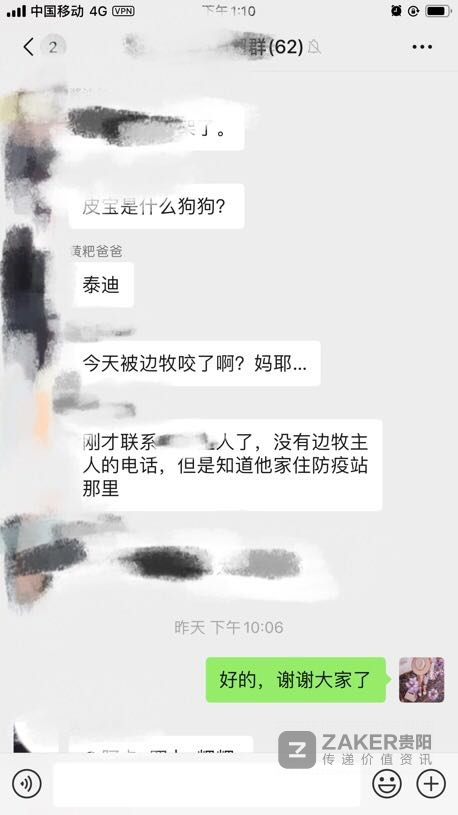 边牧不栓绳将泰迪肺部咬一个洞 送医后边牧主人一去不返