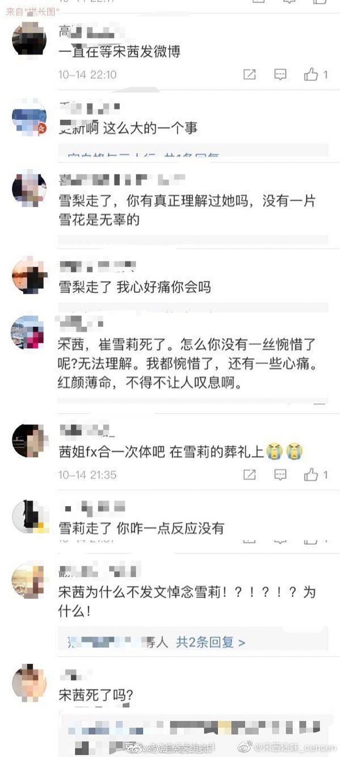 缅怀完雪莉,他们转头寻找下一个雪莉
