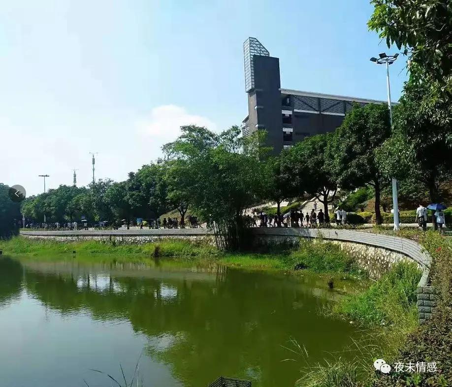 你的味道,就是爱情的味道
