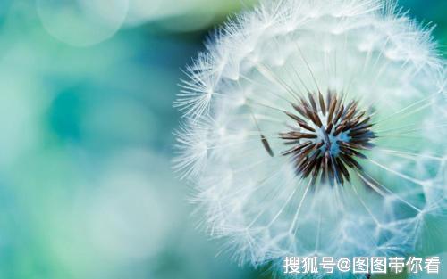 沉默者:出世的智者,入世的强者