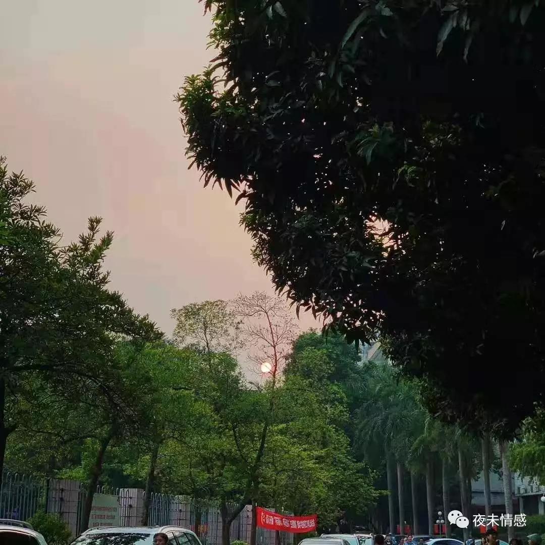 你的味道,就是爱情的味道