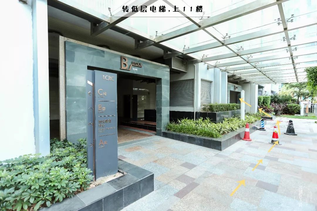 深圳高空下午茶,藏着6只小短腿『柯基』!