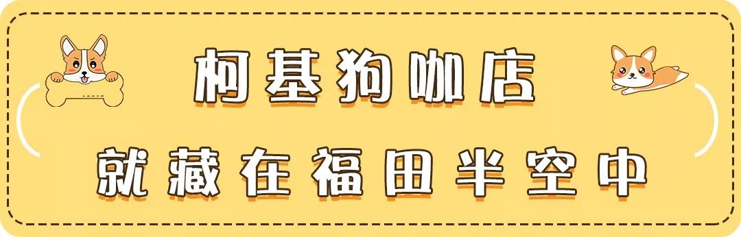 深圳高空下午茶,藏着6只小短腿『柯基』!