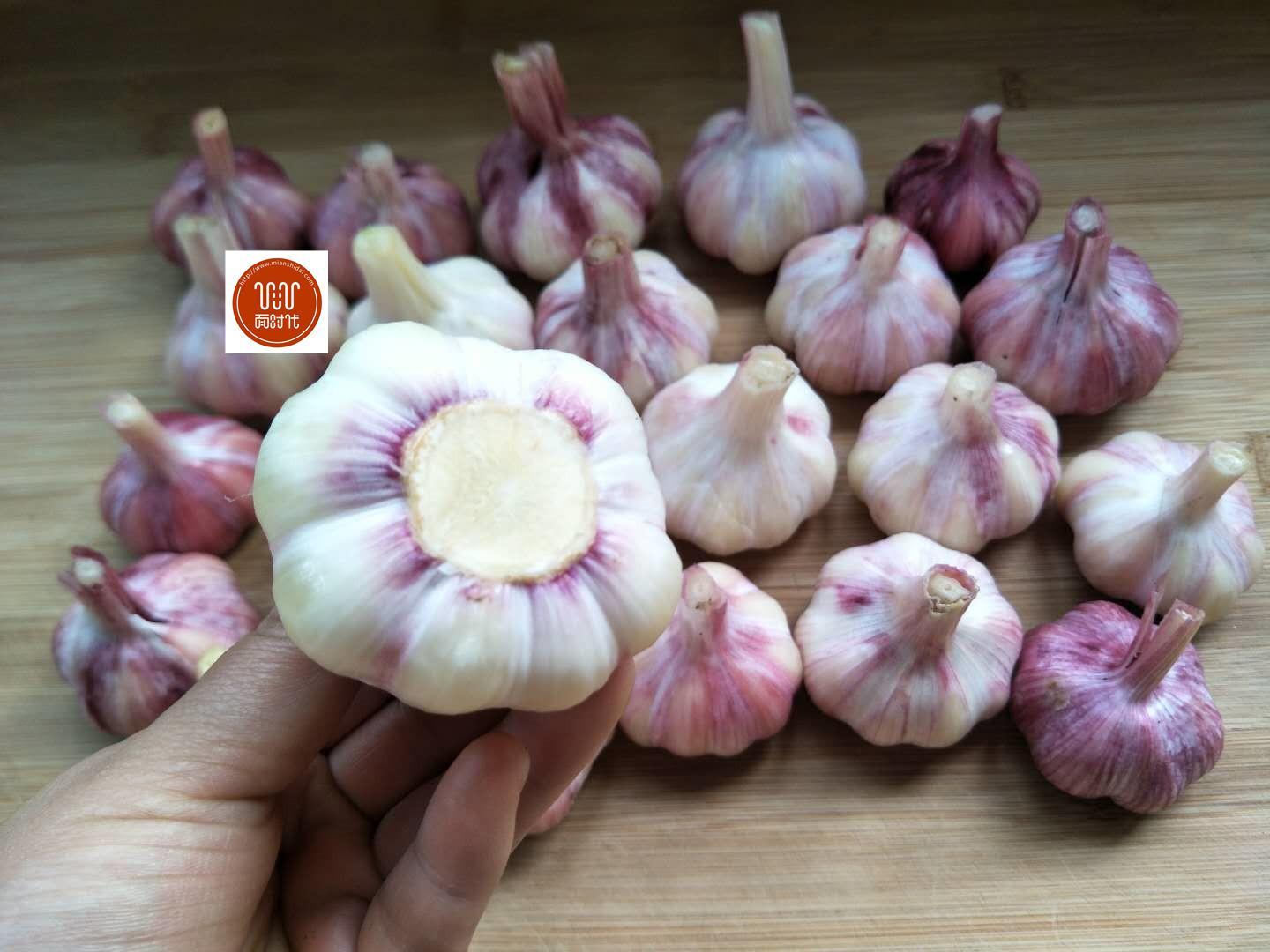 在家自制腌糖蒜,做法比例讲解详细,好吃又下饭,放一年也不会坏