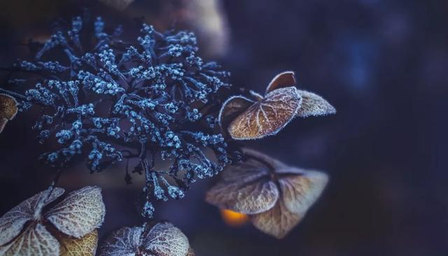 寒衣节 | 一个被世人遗忘,却又温暖的节日