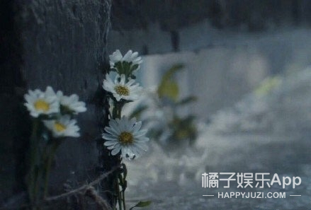 《少年的你》20个鲜有人知的细节,信息量超大,打赌你绝对没发现