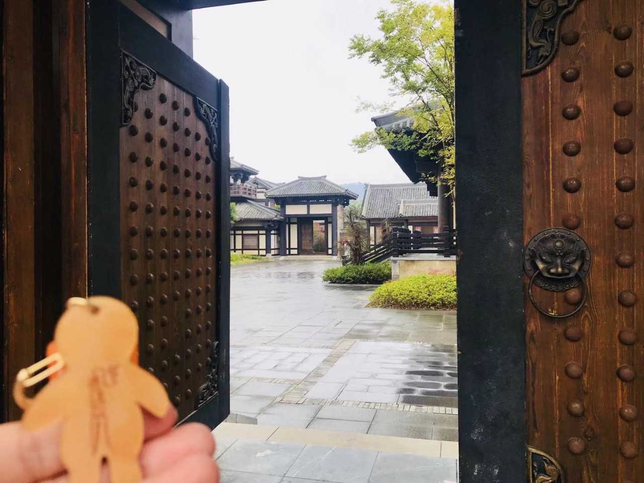 《陈情令》拍摄地大火!粉丝把荒山走出一条路,打卡照让人笑秃头