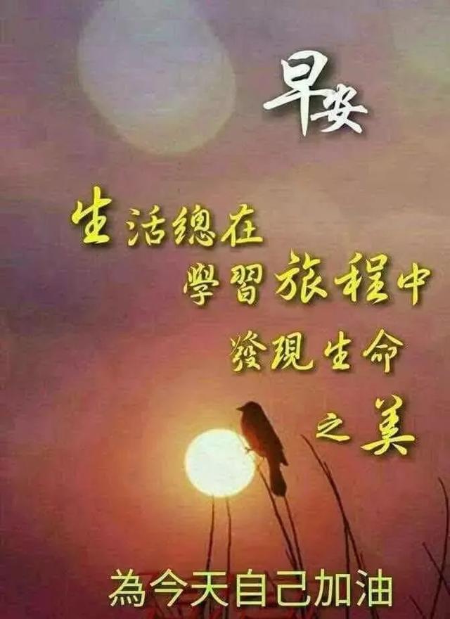 每天早晨给自己的一个好心情,天空会更晴朗,早晨好