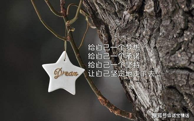 不慌不忙,学着坚强,致自己