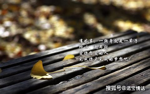 不慌不忙,学着坚强,致自己