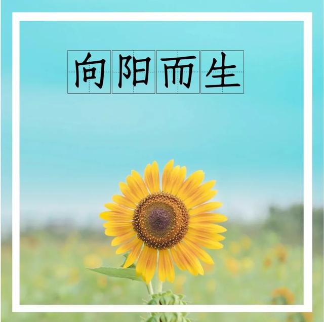 早安问候:新的11月,不念过往,不畏将来,做最好的自己,早安