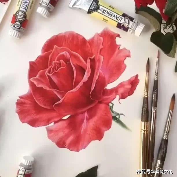 以假乱真的花,真不敢相信这是画出来的,这位女画家带来自然的美