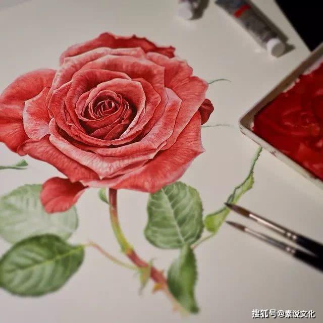 以假乱真的花,真不敢相信这是画出来的,这位女画家带来自然的美