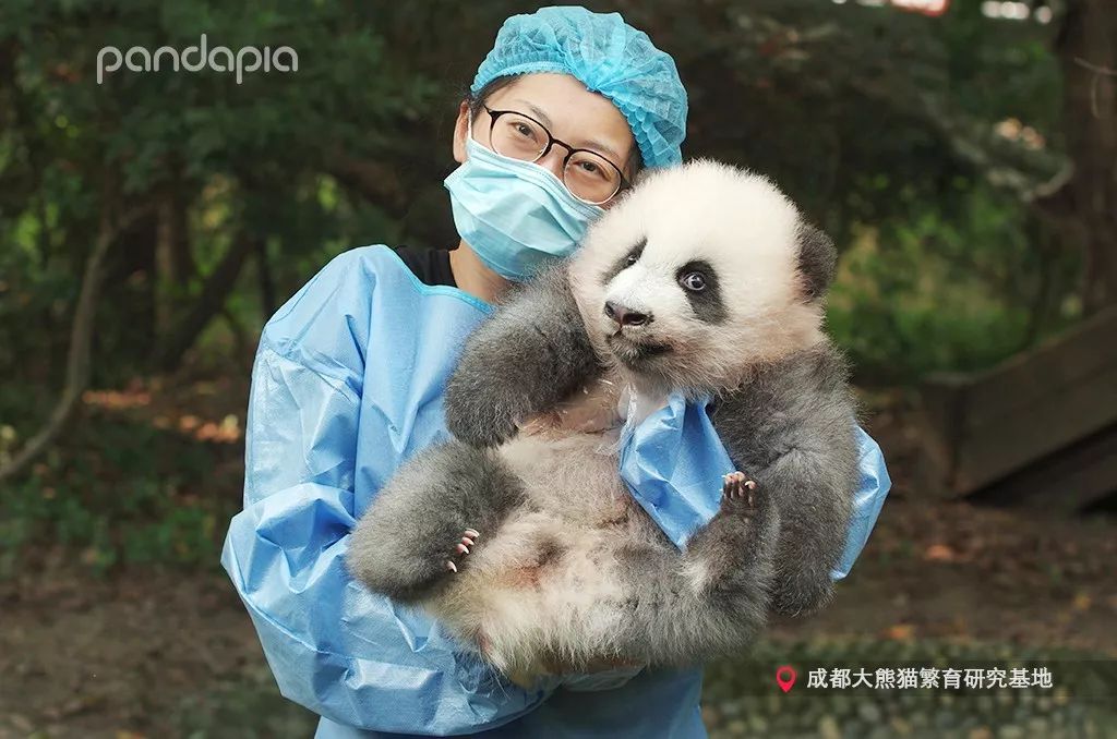 这是谁家的小捣蛋鬼,我抱走了!