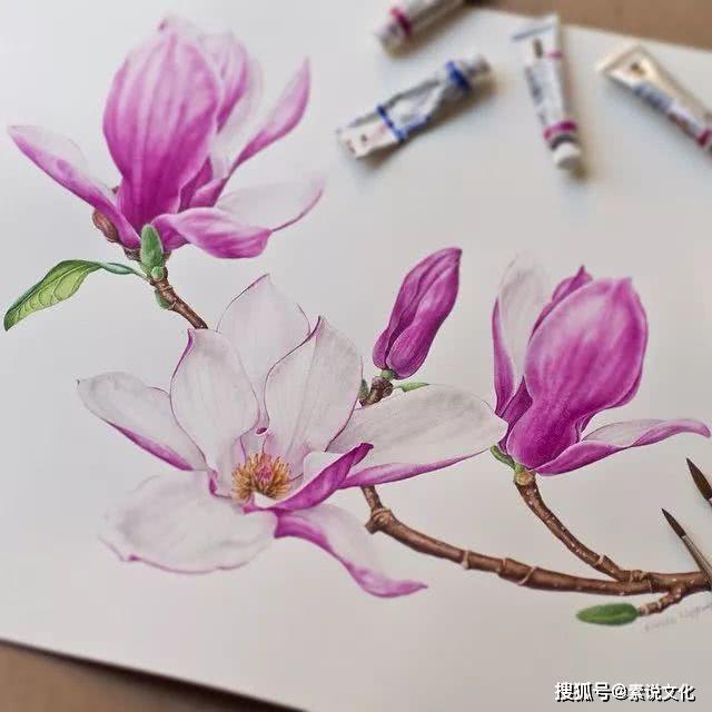 以假乱真的花,真不敢相信这是画出来的,这位女画家带来自然的美