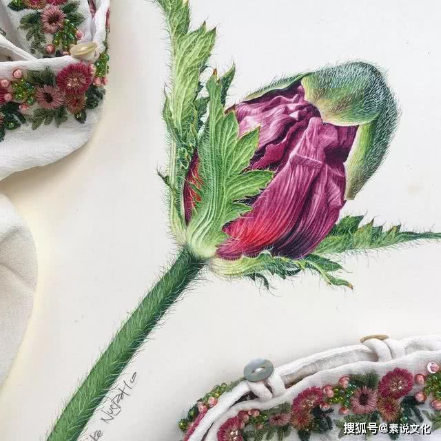 以假乱真的花,真不敢相信这是画出来的,这位女画家带来自然的美