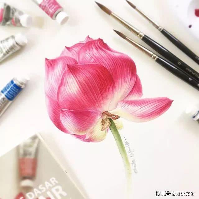 以假乱真的花,真不敢相信这是画出来的,这位女画家带来自然的美