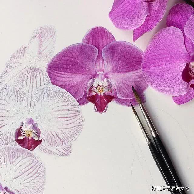 以假乱真的花,真不敢相信这是画出来的,这位女画家带来自然的美