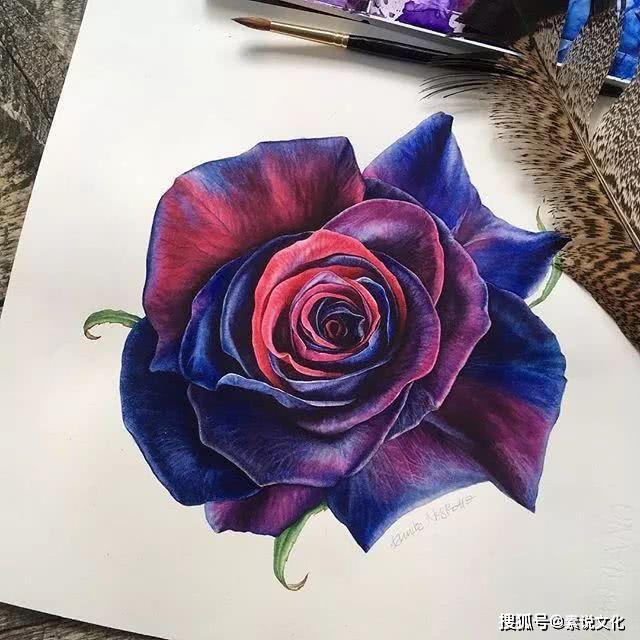 以假乱真的花,真不敢相信这是画出来的,这位女画家带来自然的美
