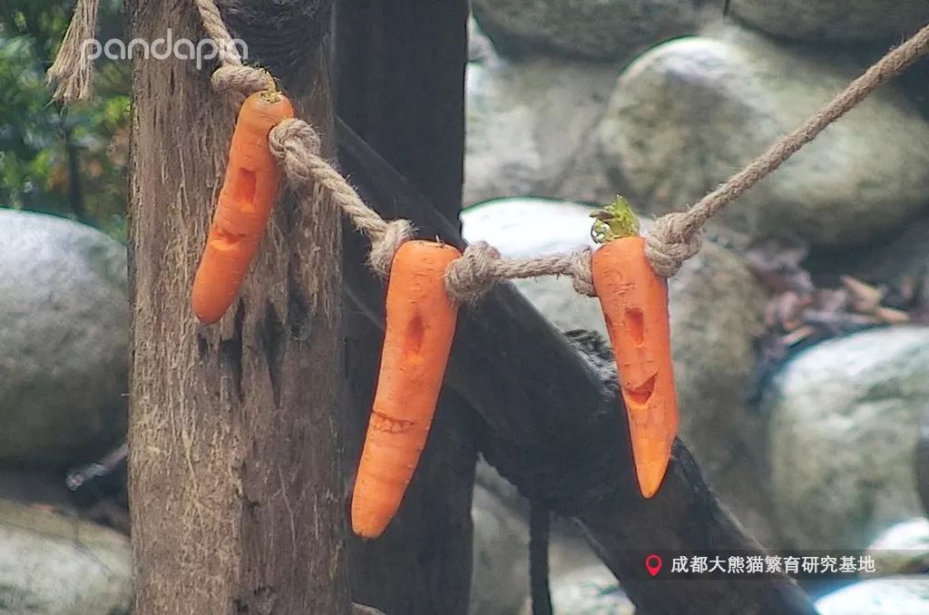 这是谁家的小捣蛋鬼,我抱走了!