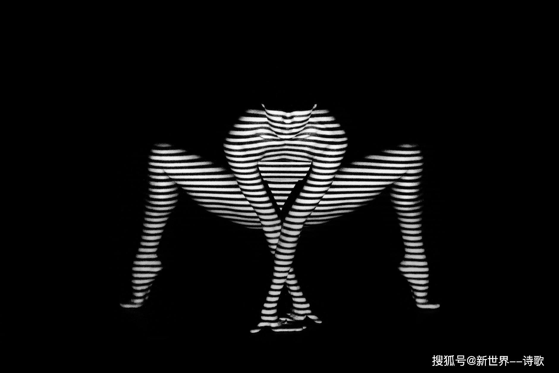 大洋诗歌:时间逆流在树上,命运顺着山坡往下滚