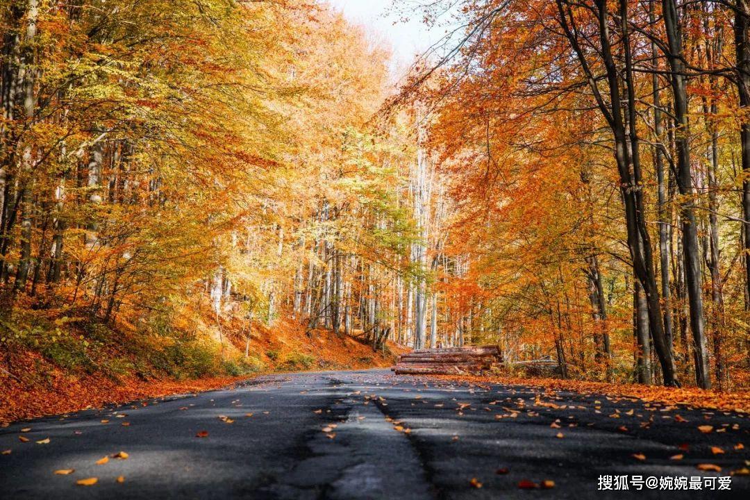 一岁年龄一岁心,匆匆岁月不由人!