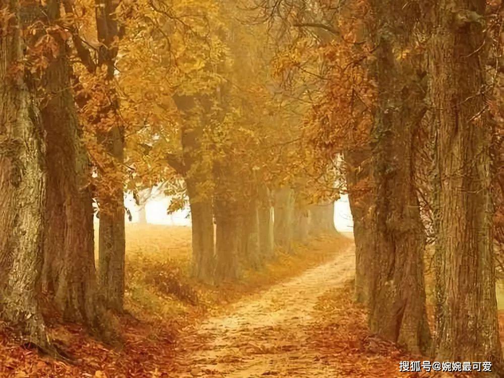 一岁年龄一岁心,匆匆岁月不由人!