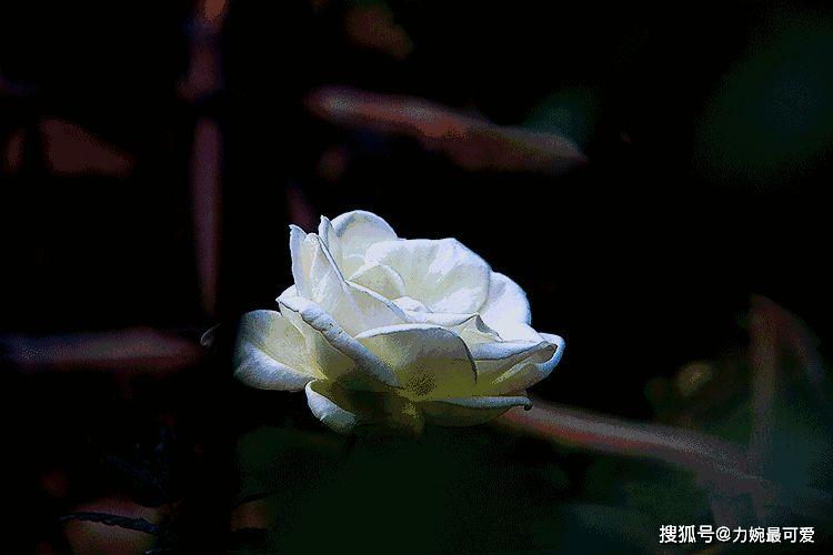一句话,让你一生不生气(长期有效)