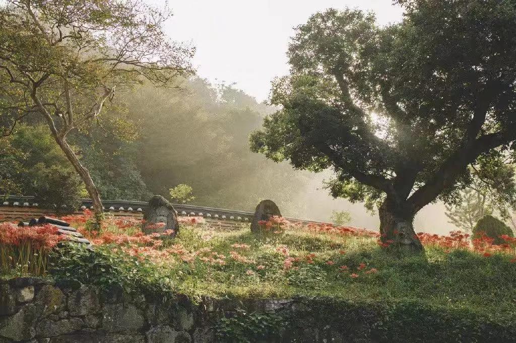 懂得拒绝,才能活得不纠结