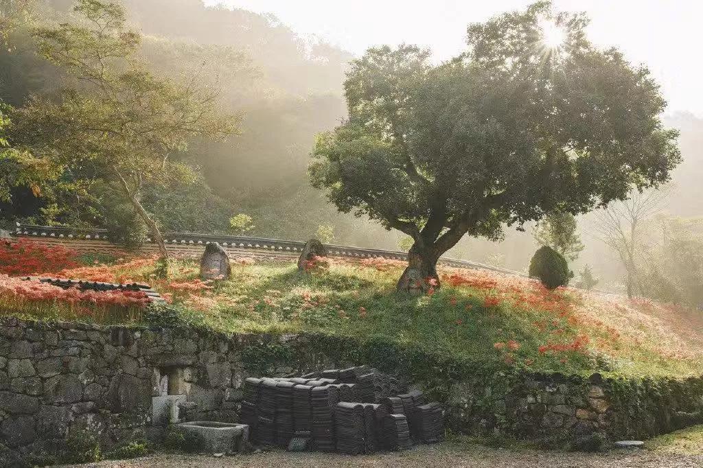 懂得拒绝,才能活得不纠结