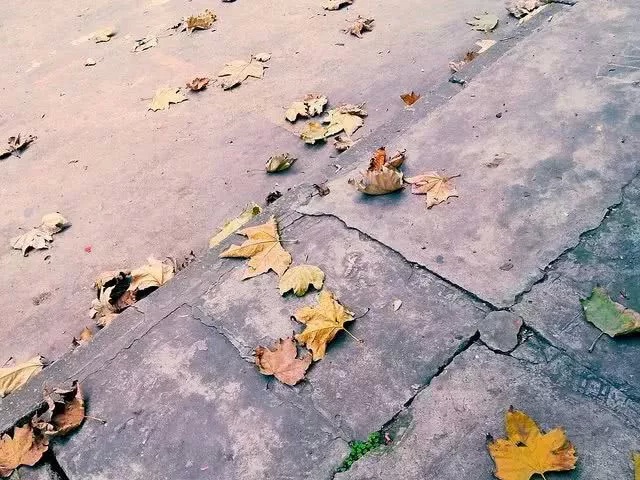 人与缘:如果抓不住,何不送一程