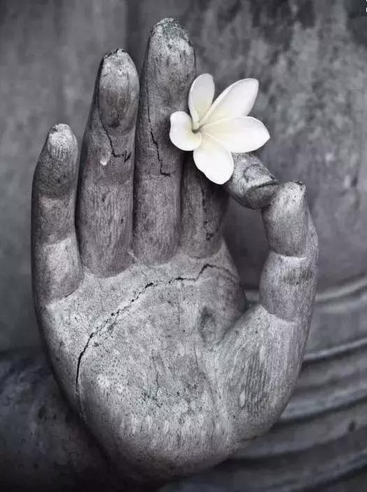 生命疗愈:语言暗示出的能量,能改变你的未来