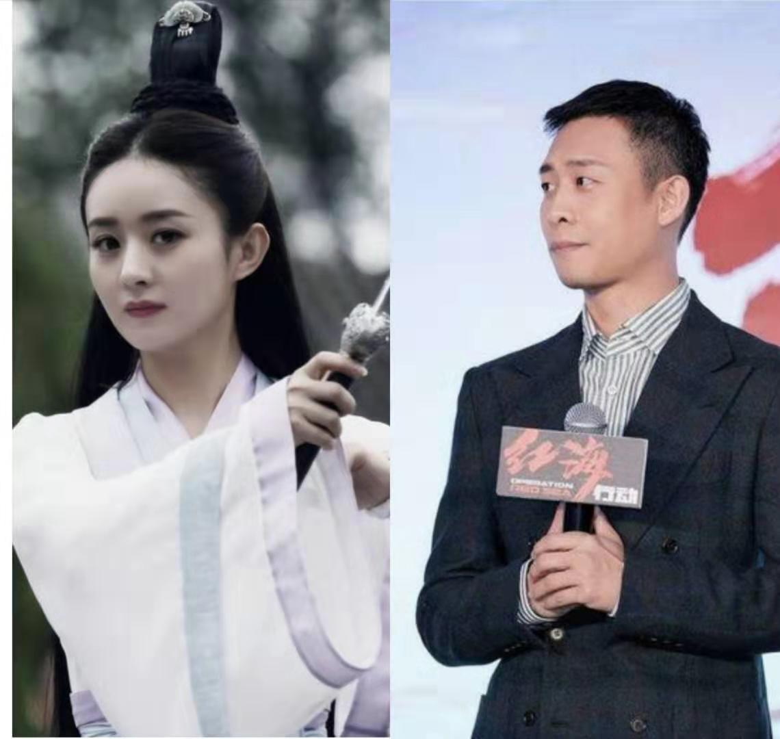 继《有翡》后赵丽颖再演新剧《不得往生》,男主是演技派张译