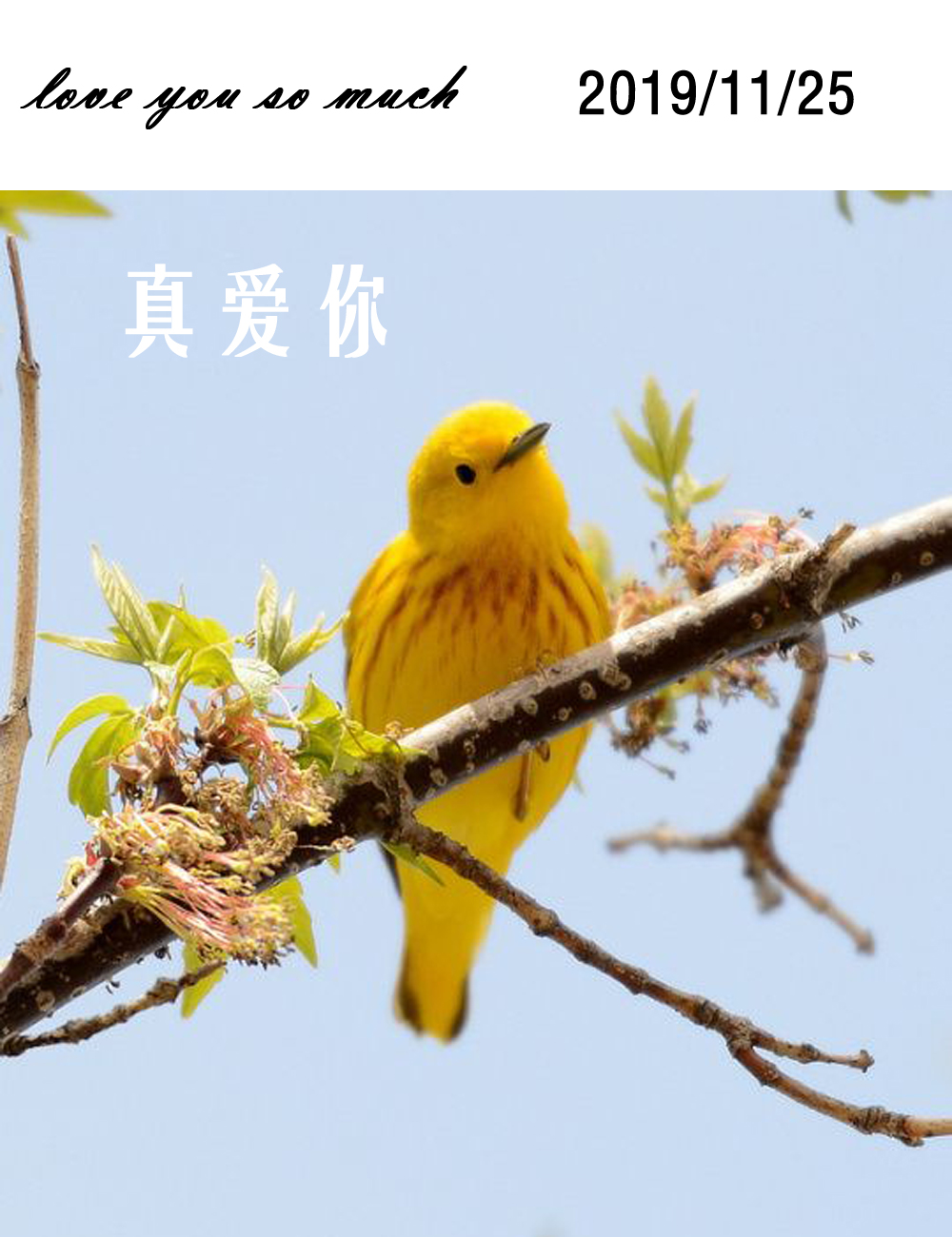 活着,需要被点燃