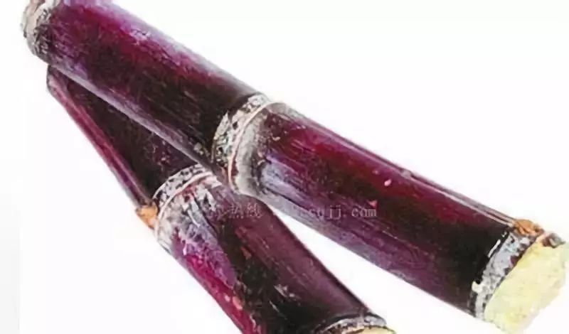 饮食新知、冬季适合多吃7种水果