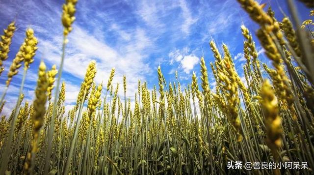 记住了:除了自己,谁都指望不上