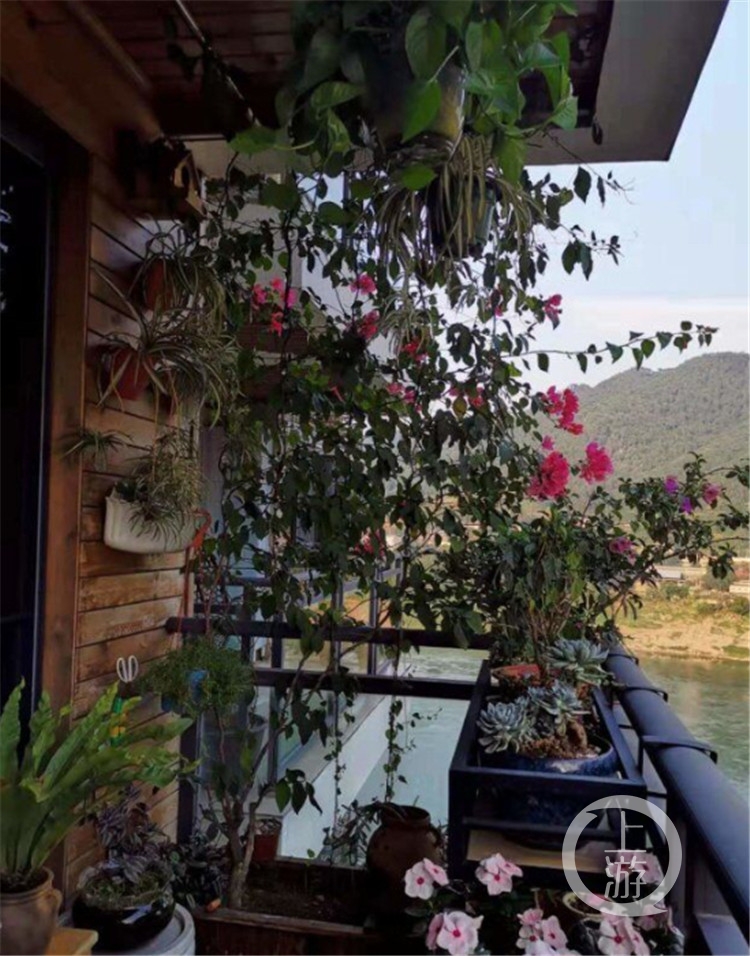 花誓静质事叶是你……他们的阳台与庭院写满“我爱你”