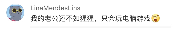 重庆一黑猩猩爱上洗衣服:无师自通,动作娴熟,十分兴奋