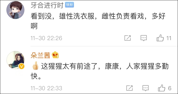 重庆一黑猩猩爱上洗衣服:无师自通,动作娴熟,十分兴奋