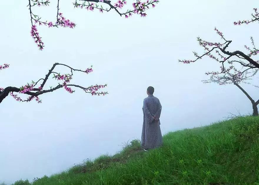 看破不说破,是大智慧