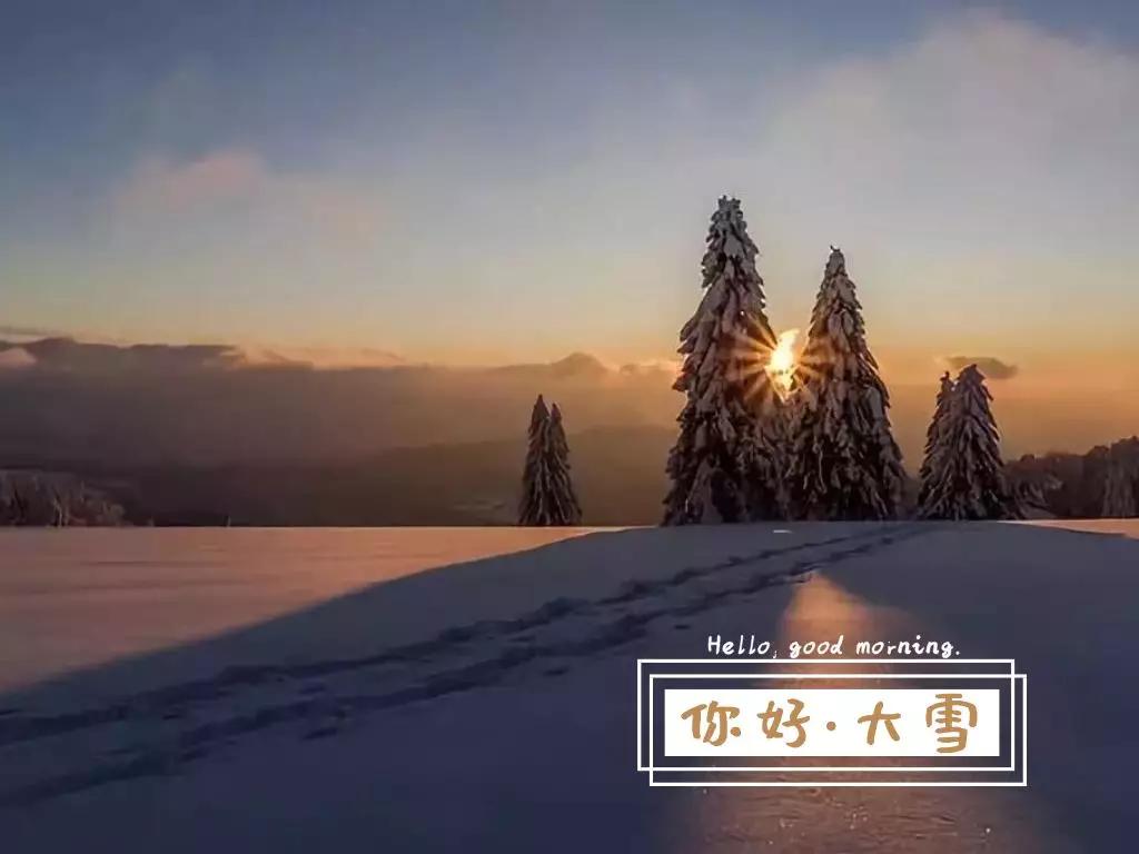 今日大雪:人间至此雪盛时,愿君安康