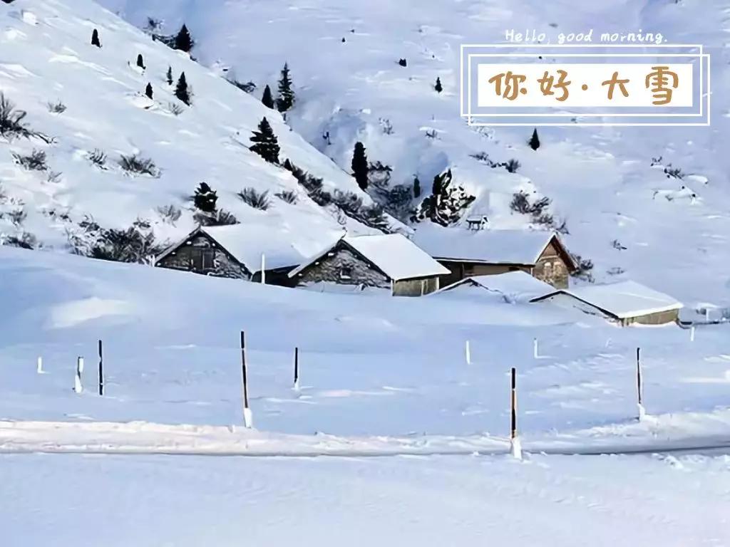 今日大雪:人间至此雪盛时,愿君安康