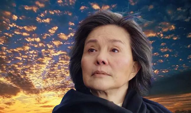 24年后,《妈妈再爱我一次》的妈妈,终于以主演身份重现大陆银幕